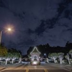 Perfect Holiday Lights